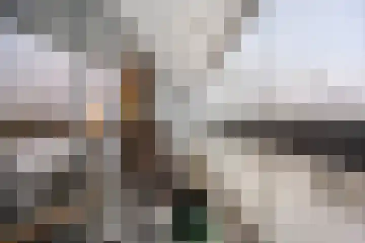 Librijesteeg 301 Rotterdam thumbnail 11