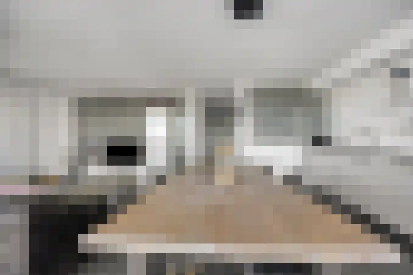 Librijesteeg 301 Rotterdam thumbnail 12