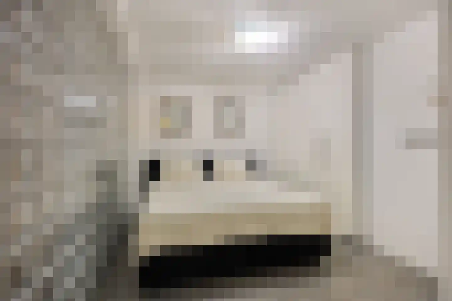 Librijesteeg 301 Rotterdam thumbnail 14