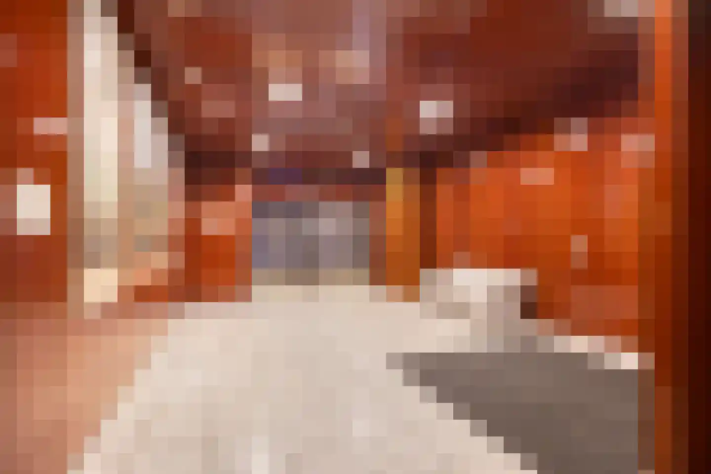 Librijesteeg 301 Rotterdam thumbnail 21
