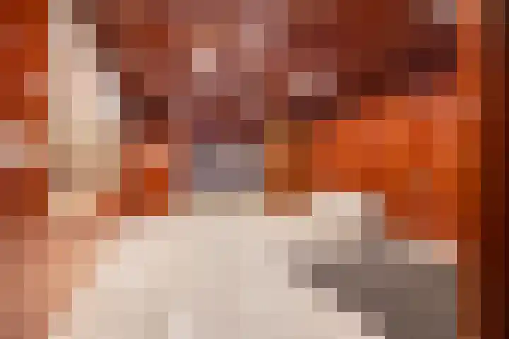 Librijesteeg 301 Rotterdam thumbnail 21