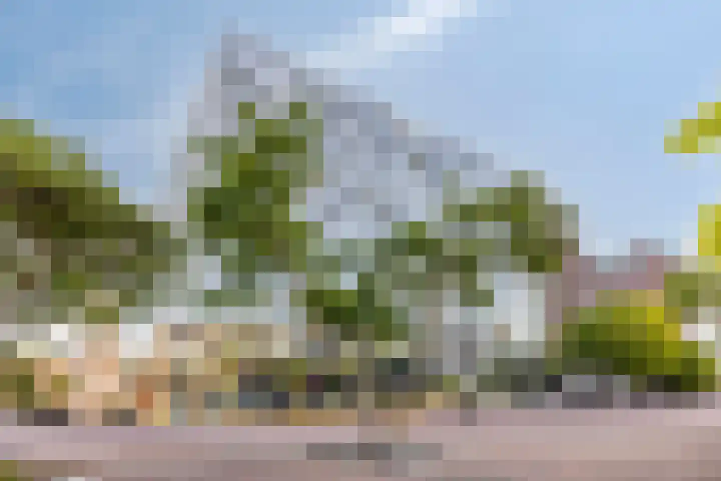 Librijesteeg 301 Rotterdam thumbnail 35