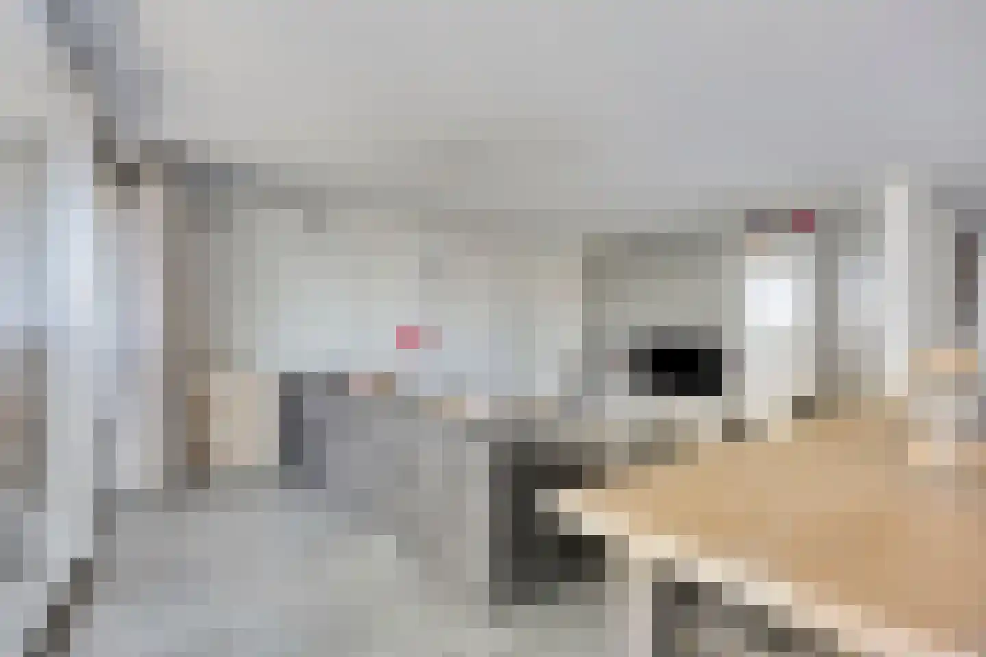 Librijesteeg 301 Rotterdam thumbnail 4