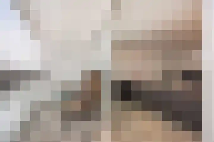 Librijesteeg 301 Rotterdam thumbnail 5