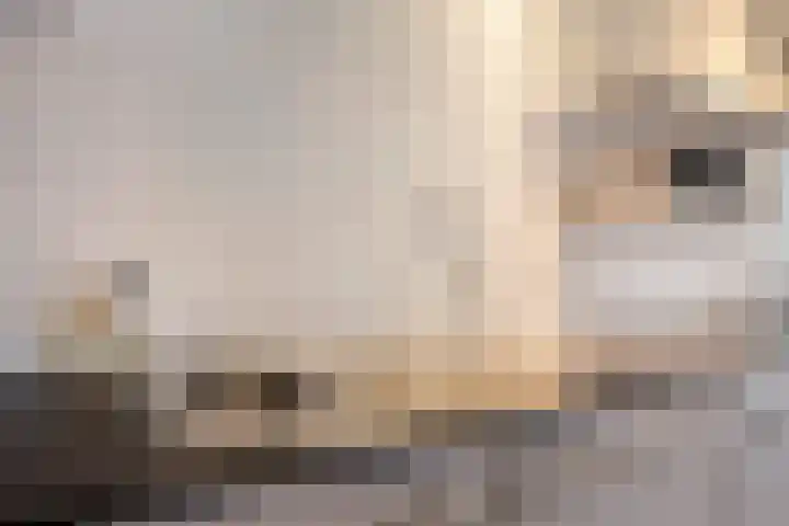 Librijesteeg 301 Rotterdam thumbnail 9