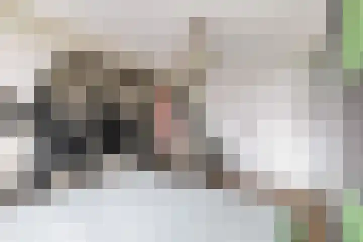 Librijesteeg 327 Rotterdam thumbnail 31