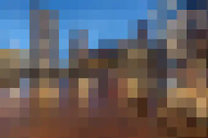 Librijesteeg 327 Rotterdam thumbnail 48