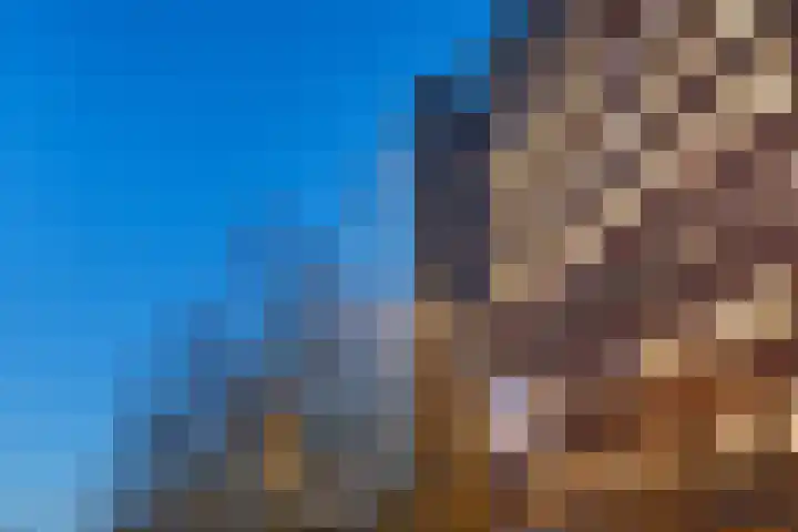 Librijesteeg 327 Rotterdam thumbnail 51