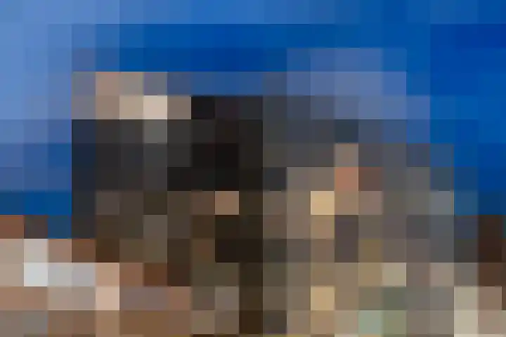 Librijesteeg 327 Rotterdam thumbnail 57