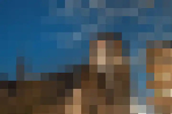 Librijesteeg 327 Rotterdam thumbnail 59