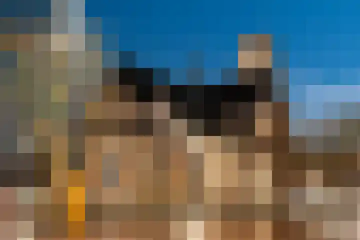 Librijesteeg 327 Rotterdam thumbnail 61