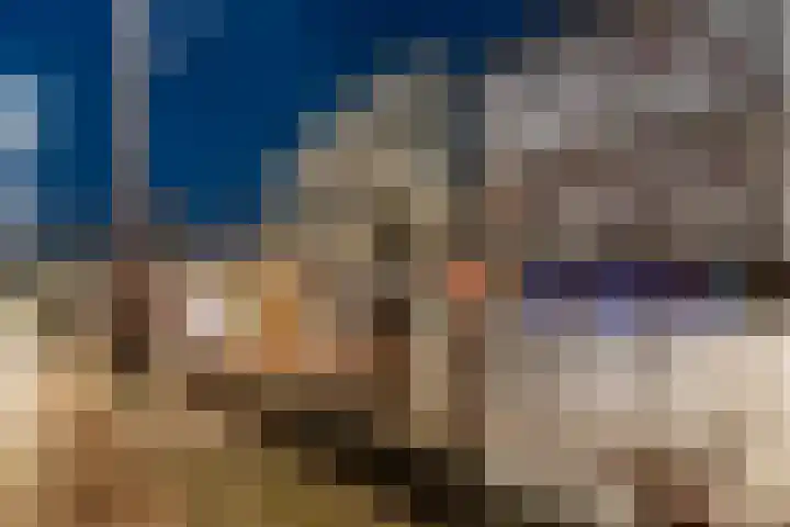 Librijesteeg 327 Rotterdam thumbnail 64
