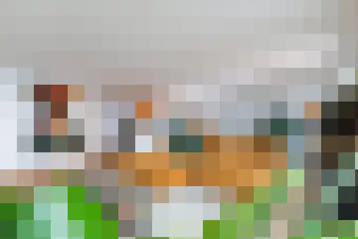 Librijesteeg 327 Rotterdam thumbnail 8