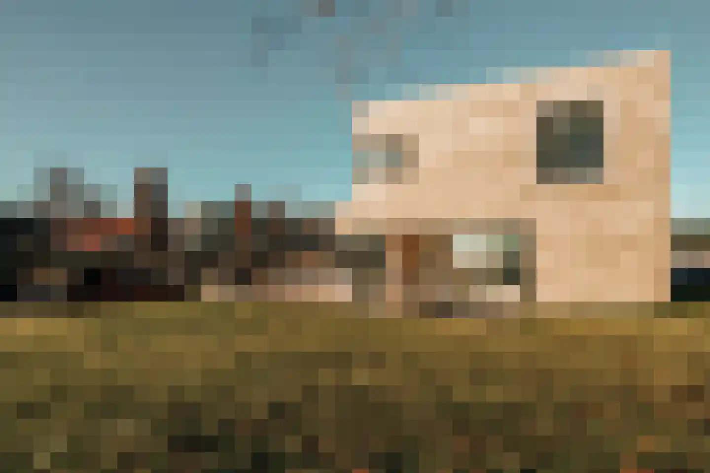 Liburne 20 Leidschendam thumbnail 20