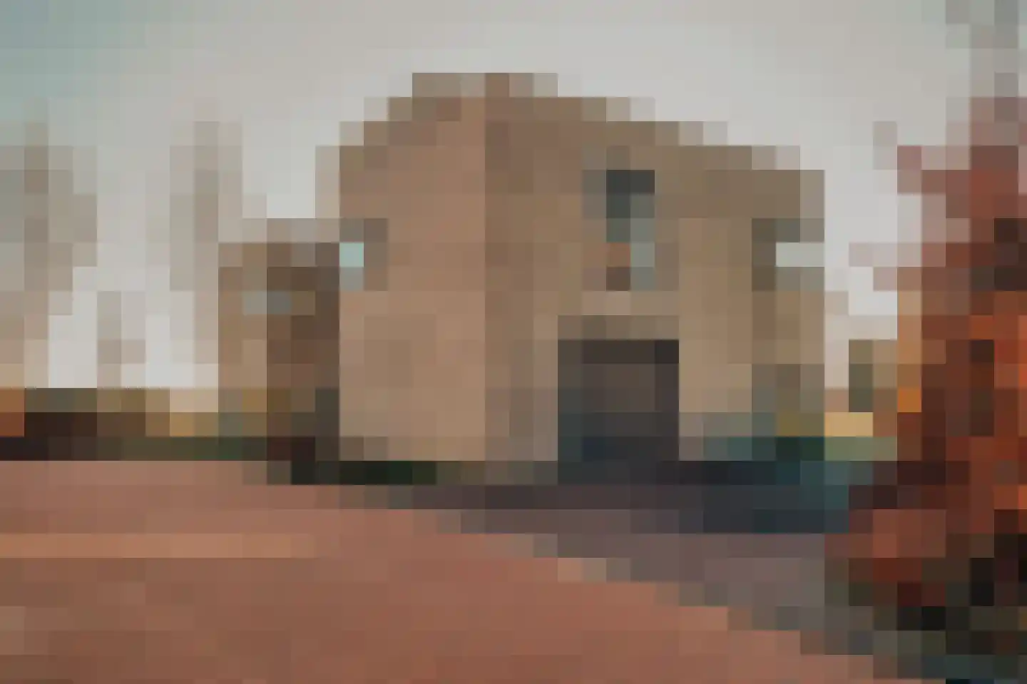 Liburne 20 Leidschendam thumbnail 67
