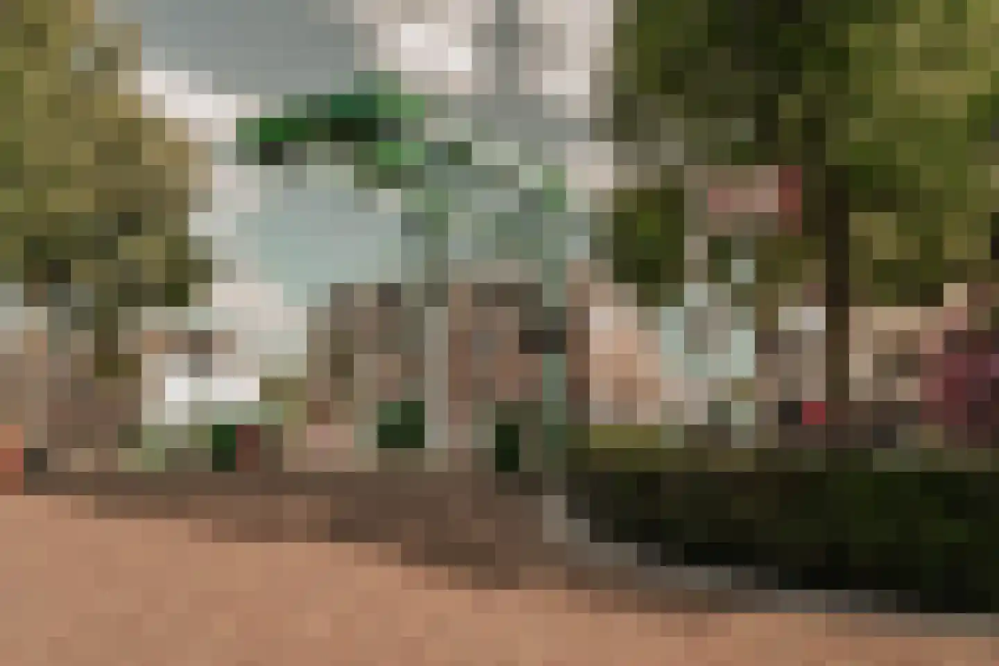 Liburne 20 Leidschendam thumbnail 77