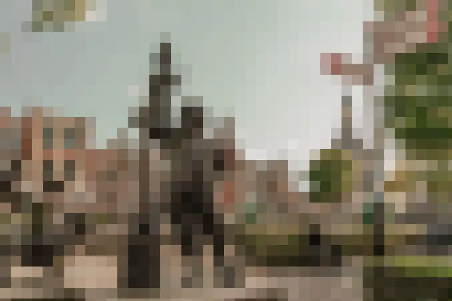 Liburne 20 Leidschendam thumbnail 78