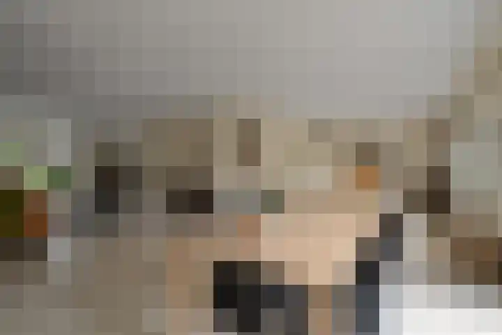 Lichtbaaklaan 2 A Den Helder thumbnail 10