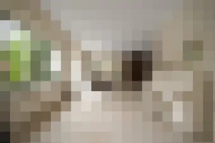 Lichtbaaklaan 2 A Den Helder thumbnail 15