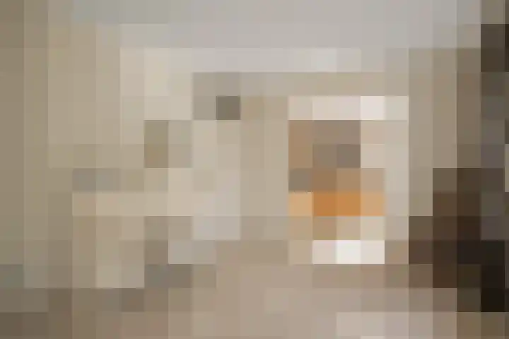 Lichtbaaklaan 2 A Den Helder thumbnail 16