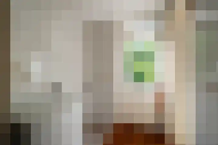Lichtbaaklaan 2 A Den Helder thumbnail 19