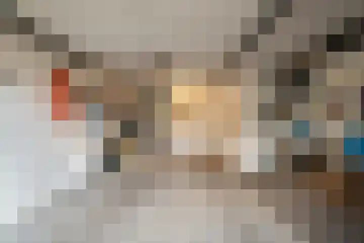 Lichtbaaklaan 2 A Den Helder thumbnail 22