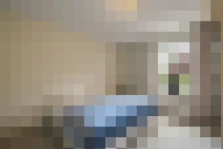 Lichtbaaklaan 2 A Den Helder thumbnail 24