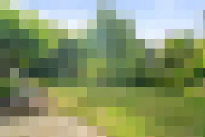 Lichtbaaklaan 2 A Den Helder thumbnail 28