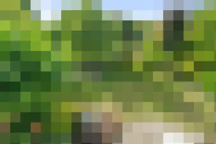 Lichtbaaklaan 2 A Den Helder thumbnail 29