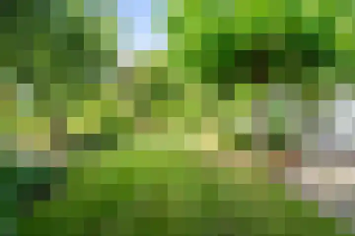 Lichtbaaklaan 2 A Den Helder thumbnail 30