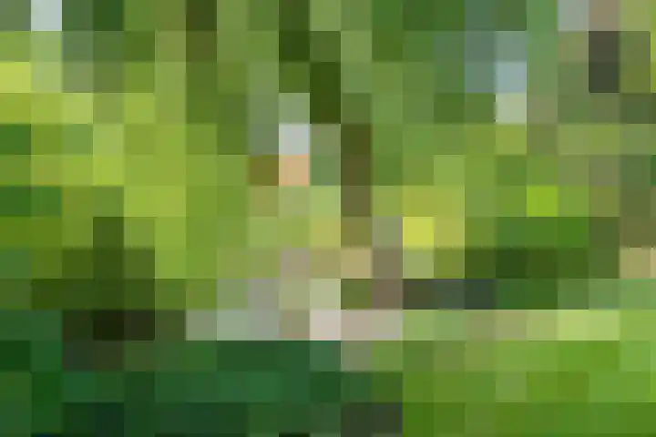 Lichtbaaklaan 2 A Den Helder thumbnail 31