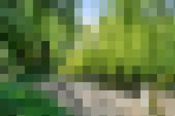 Lichtbaaklaan 2 A Den Helder thumbnail 32