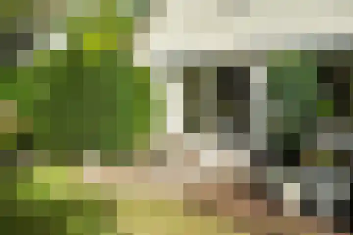 Lichtbaaklaan 2 A Den Helder thumbnail 33