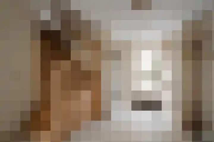 Lichtbaaklaan 2 A Den Helder thumbnail 5