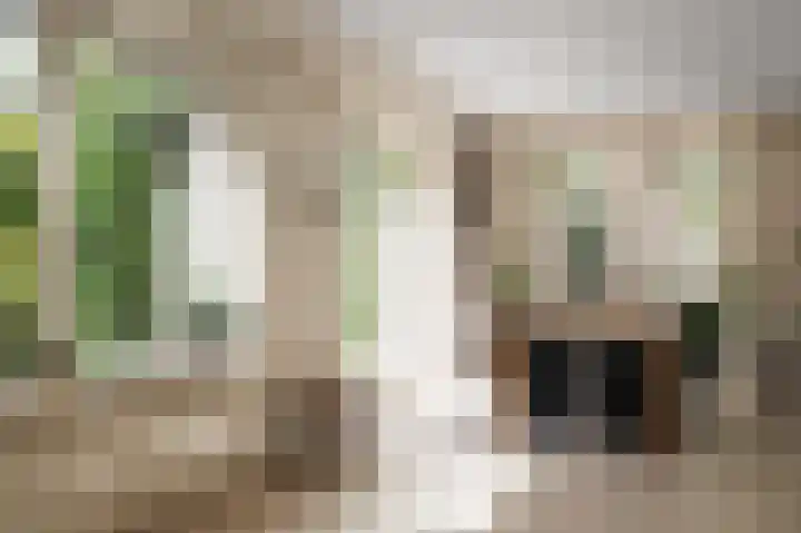Lichtbaaklaan 2 A Den Helder thumbnail 8