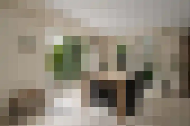 Lichtbaaklaan 2 A Den Helder thumbnail 9