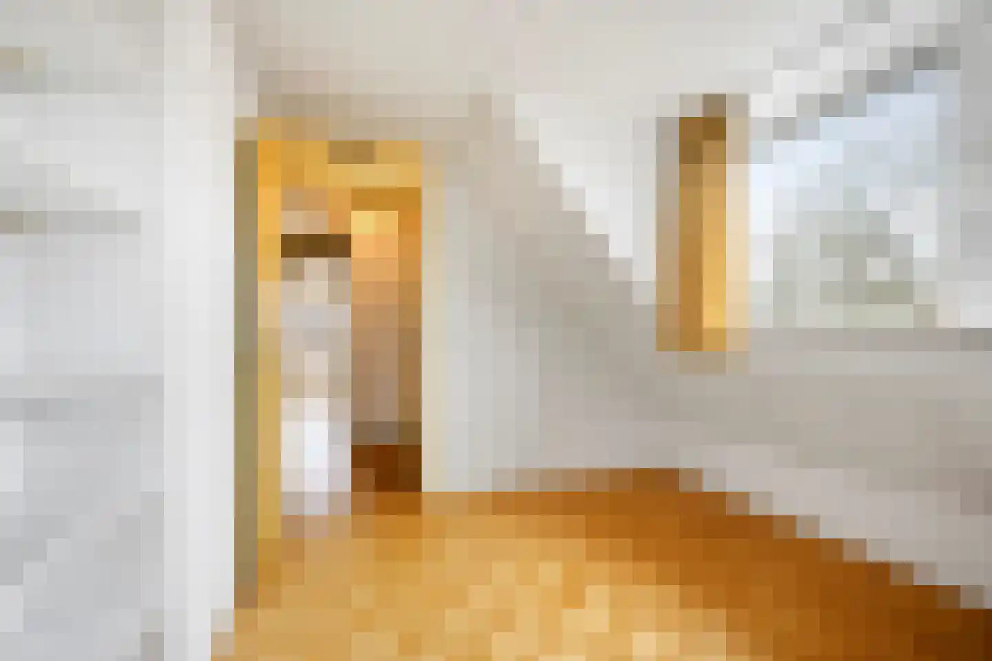 Lichtbaaklaan 3 Den Helder thumbnail 27