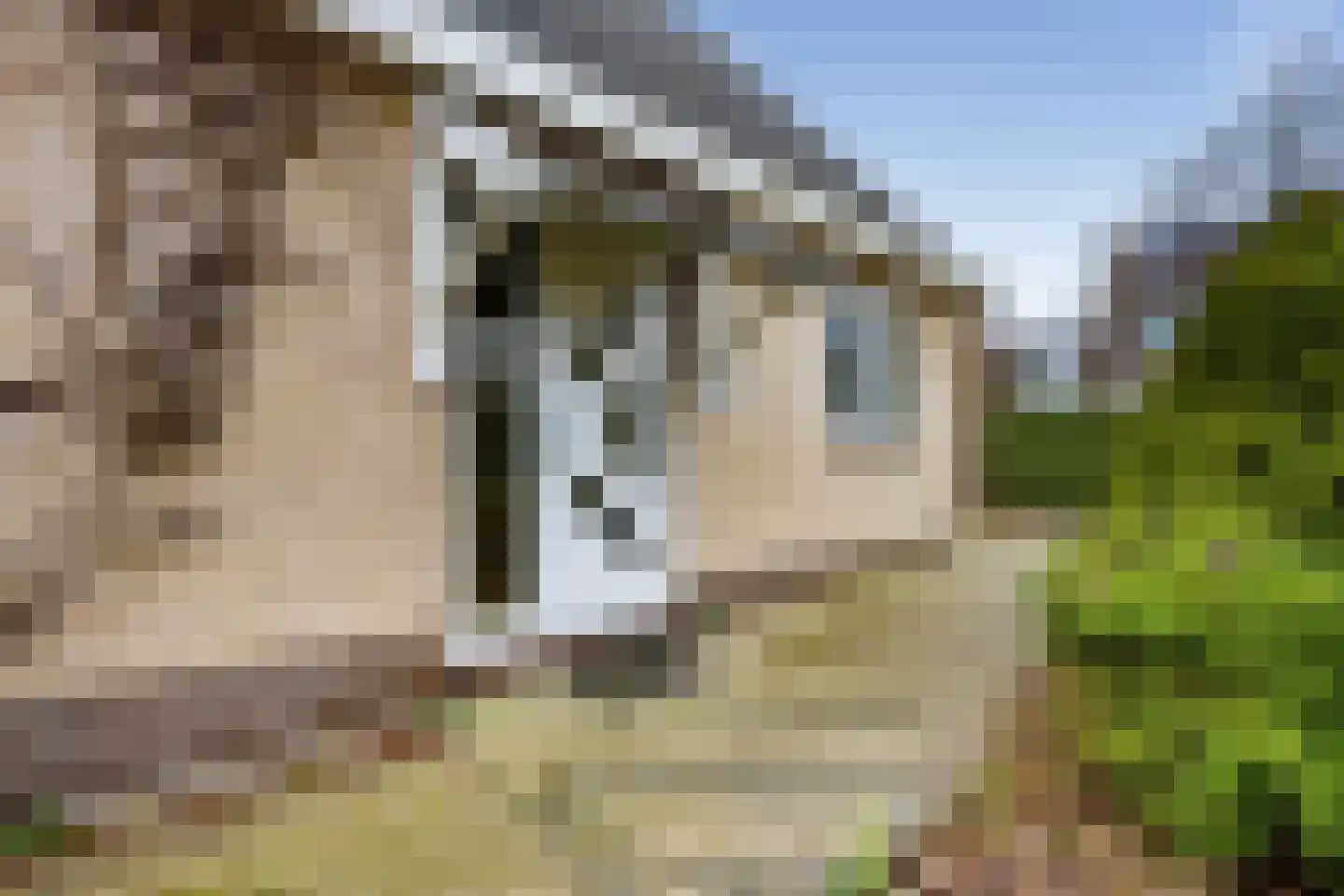 Lichtbaaklaan 3 Den Helder thumbnail 4
