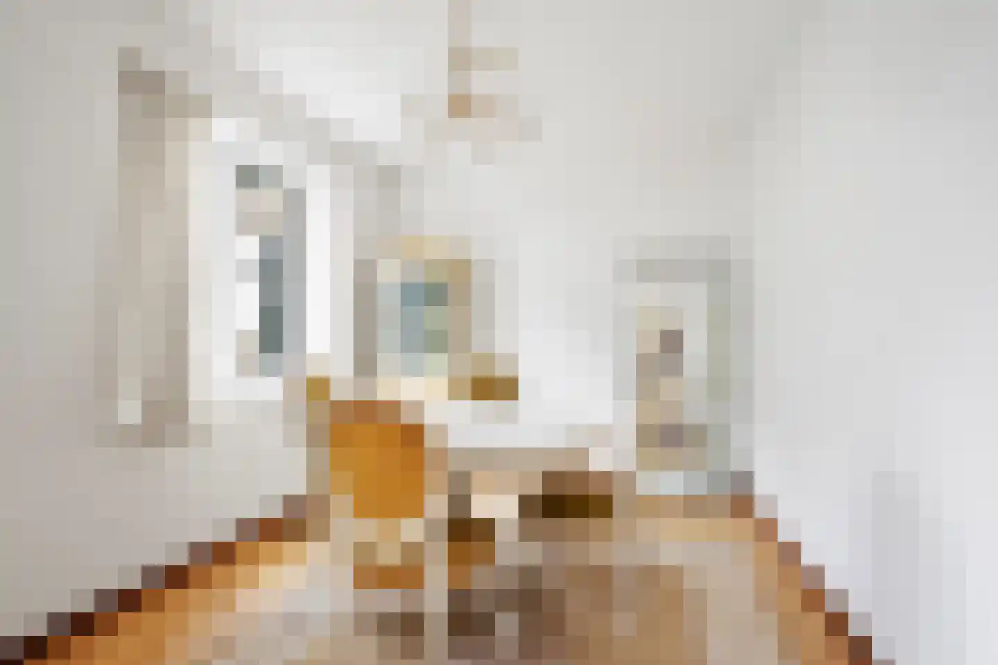 Lichtbaaklaan 3 Den Helder thumbnail 9