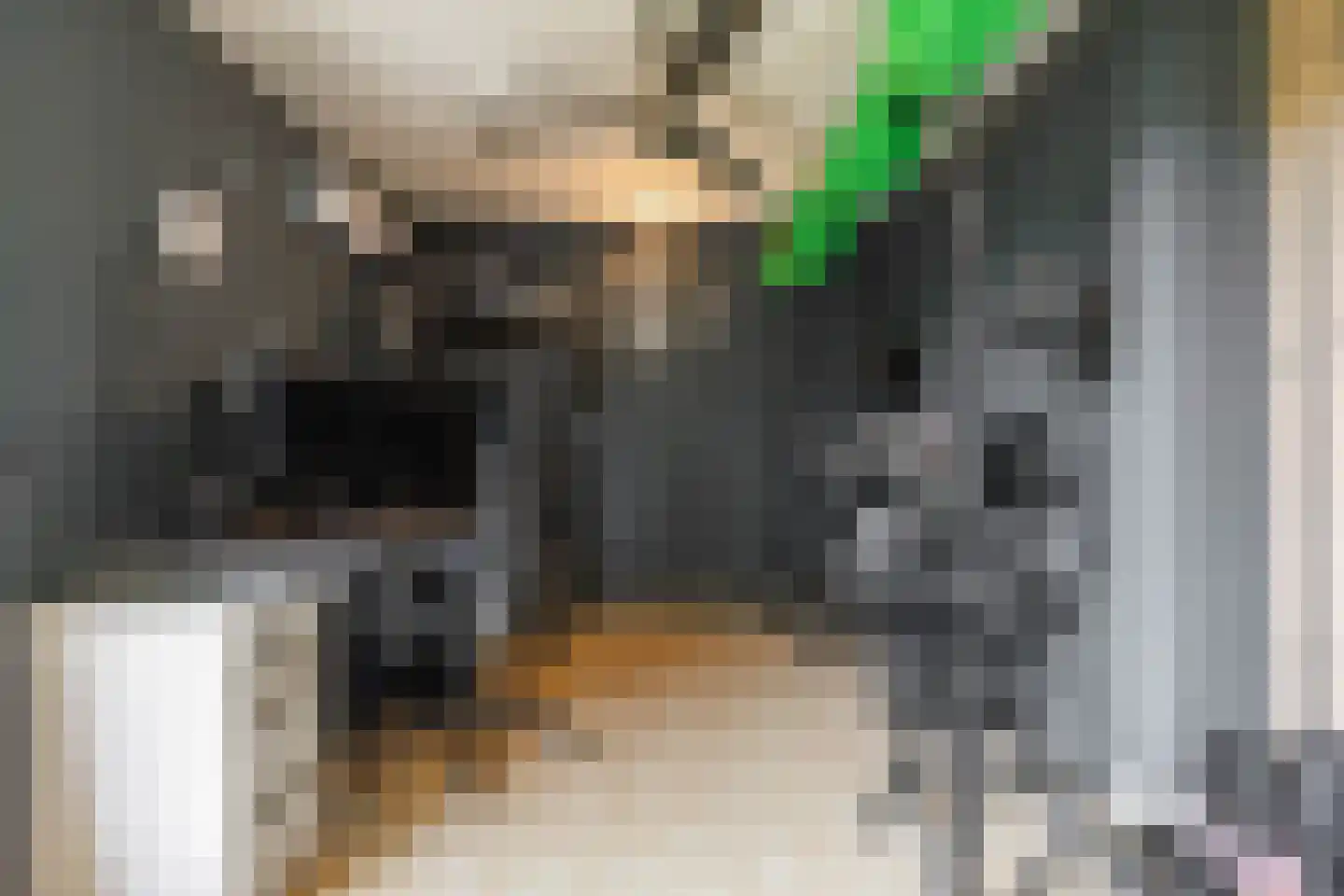 Lichtboei 103 Groningen thumbnail 26