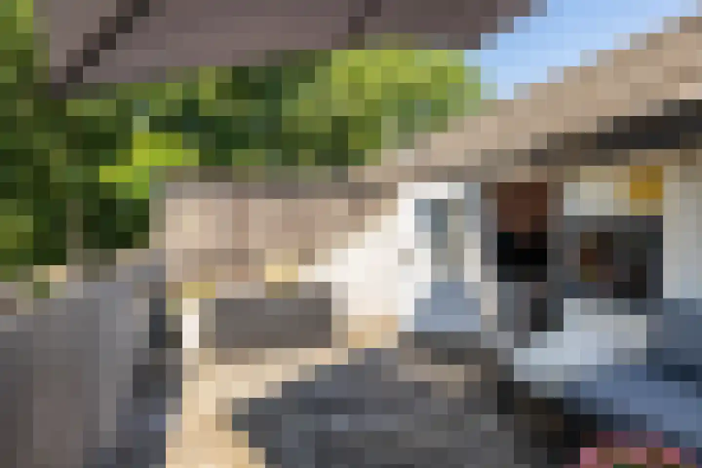Lichtboei 103 Groningen thumbnail 37