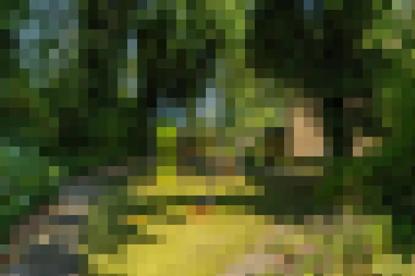Lichtboei 103 Groningen thumbnail 38