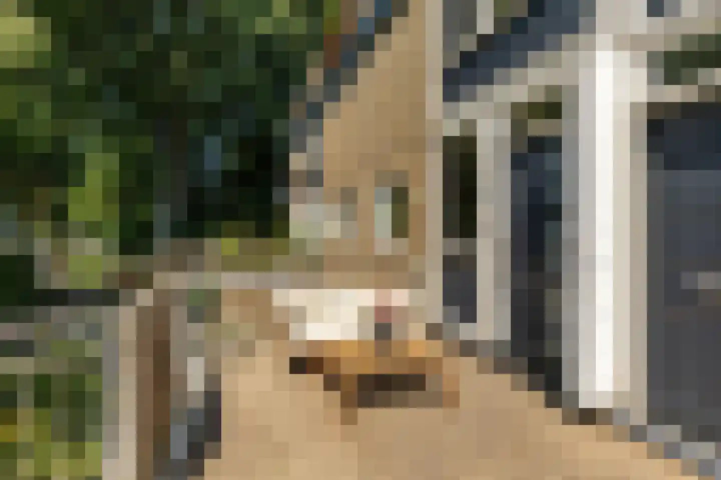 Lichtboei 103 Groningen thumbnail 6