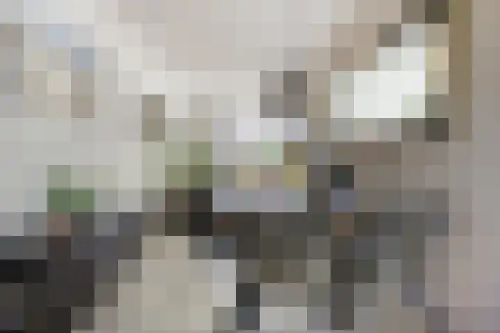 Lichtboei 120 Groningen thumbnail 14