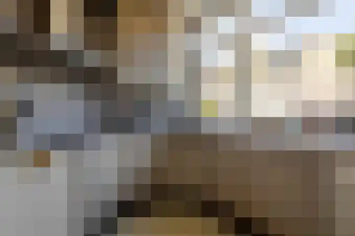 Lichtboei 120 Groningen thumbnail 16