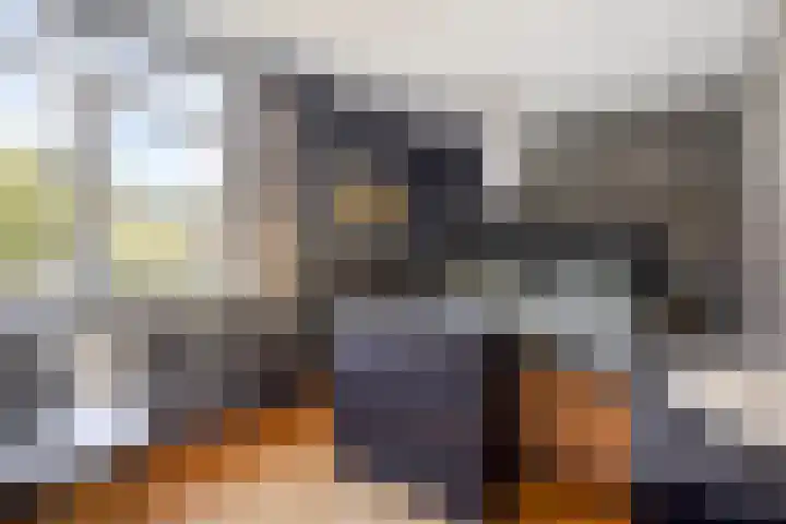 Lichtboei 120 Groningen thumbnail 20
