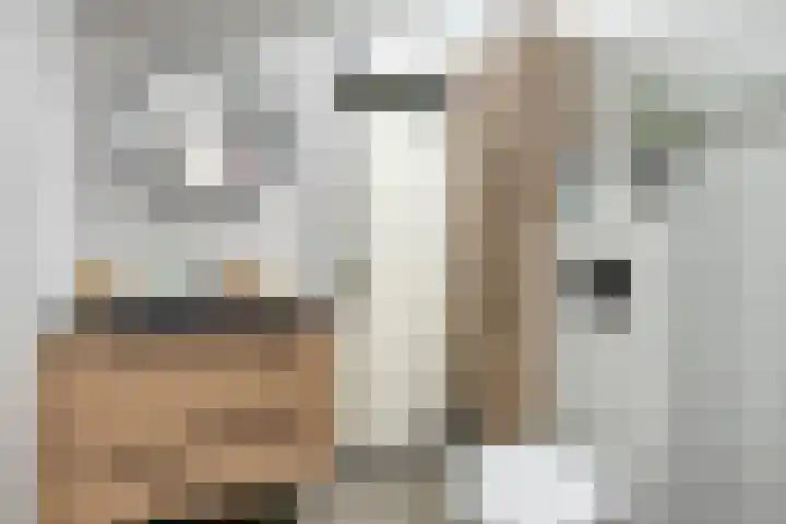 Lichtboei 120 Groningen thumbnail 23