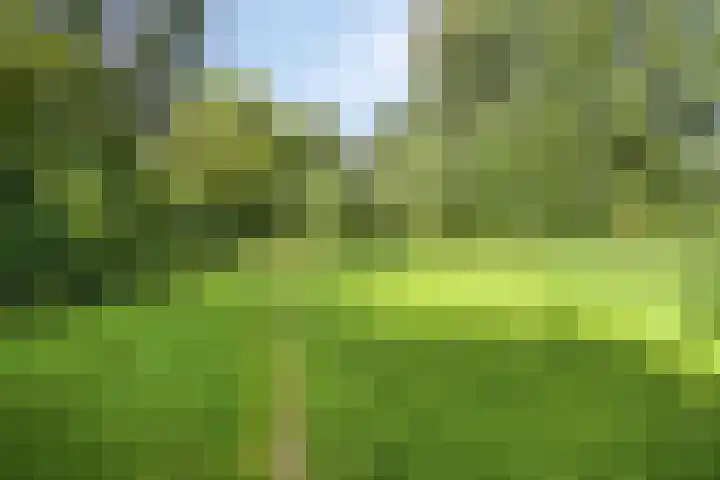 Lichtboei 120 Groningen thumbnail 40