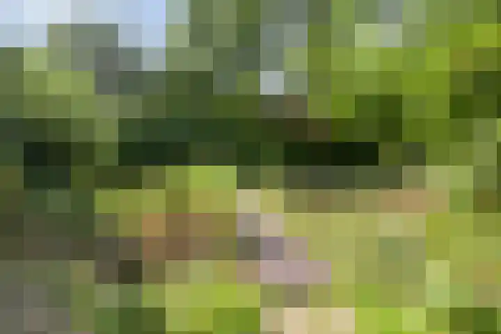 Lichtboei 120 Groningen thumbnail 41