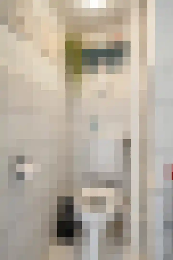 Lichtboei 120 Groningen thumbnail 8